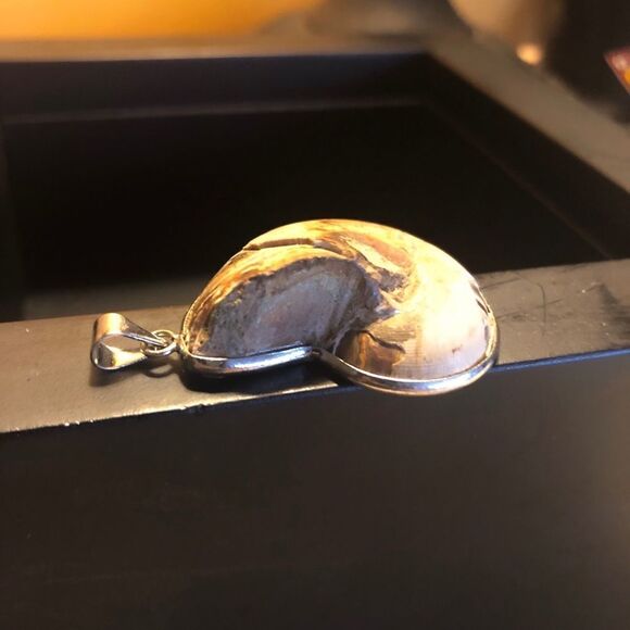 đ
șAMMONITEâfossil pendant,âpolishedâNWOT - Picture 3 of 3